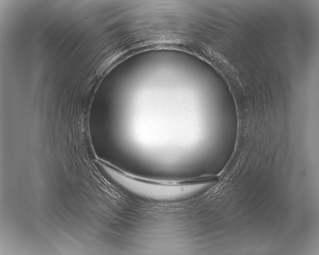 X0000052961169200508050940