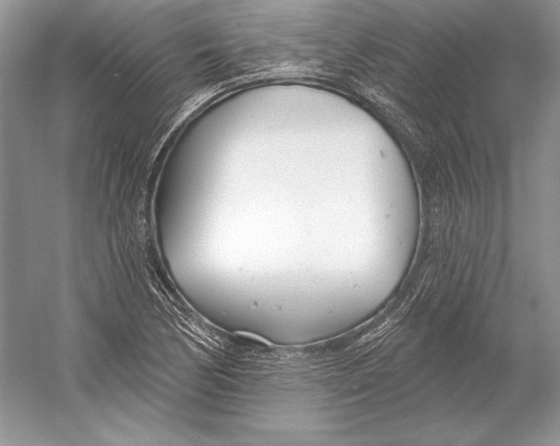 X0000052961170200508050940