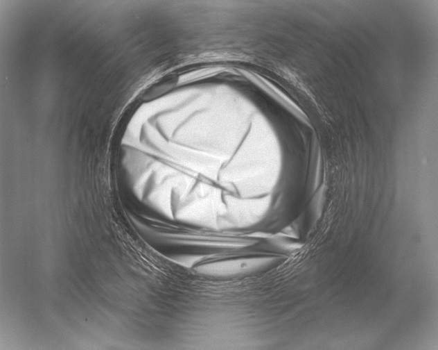 X0000052961173200508050940