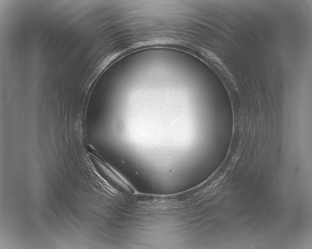 X0000052961177200508050940
