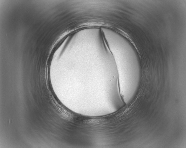 X0000052961179200508050940
