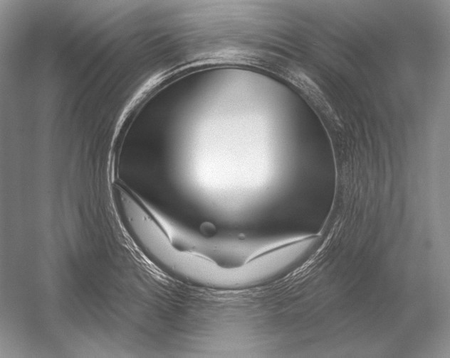 X0000052961180200508050940