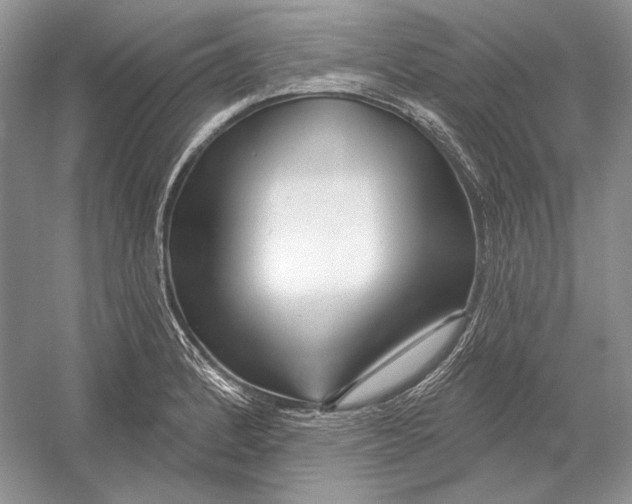 X0000052961184200508050940