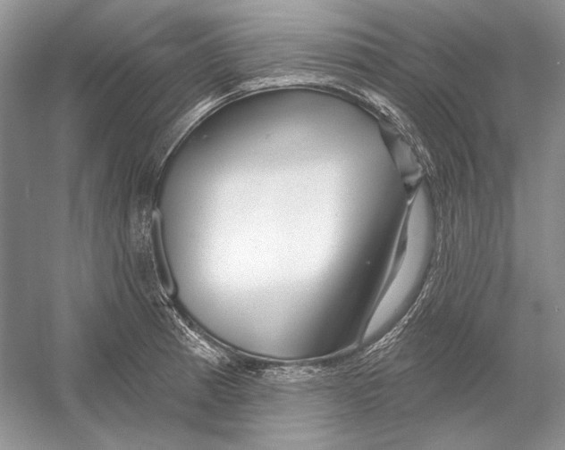 X0000052961185200508050940