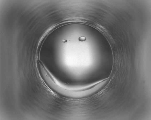 X0000052961188200508050940