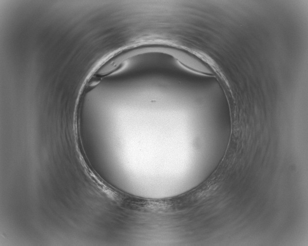 X0000052961191200508050940