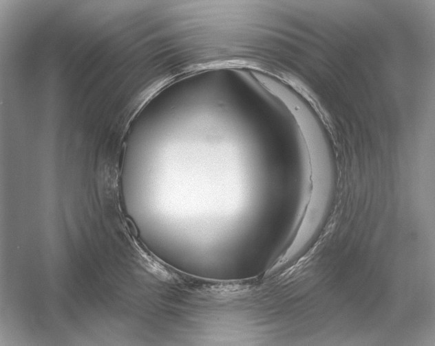 X0000052961193200508050940