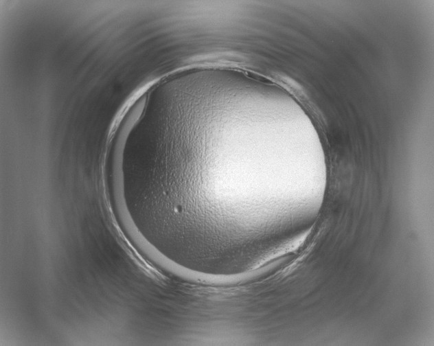 X0000052961196200508050940