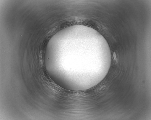 X0000052961203200508050939
