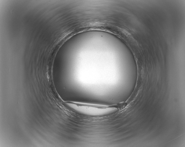 X0000052961209200508050939