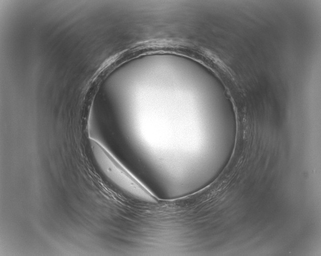 X0000052961213200508050939