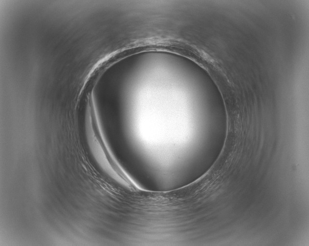 X0000052961214200508050939