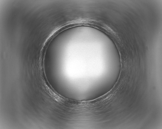 X0000052961216200508050939