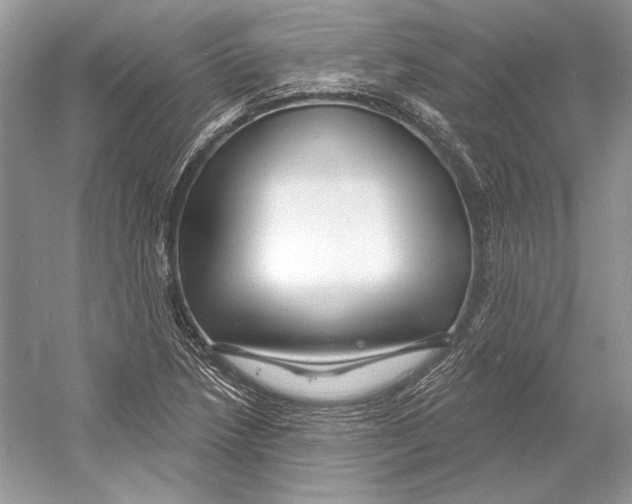 X0000052961218200508050939