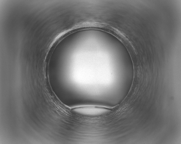 X0000052961222200508050939