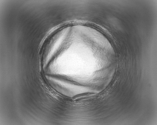 X0000052961223200508050940