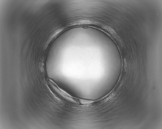 X0000052961225200508050940