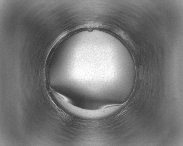X0000052961229200508050940