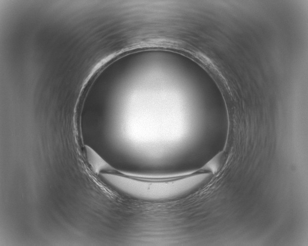 X0000052961230200508050940