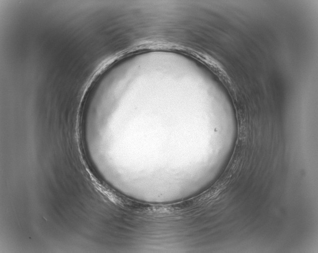 X0000052961231200508050940