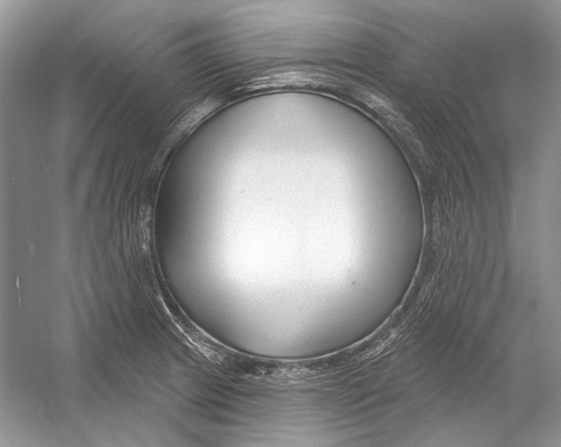 X0000052961233200508050940