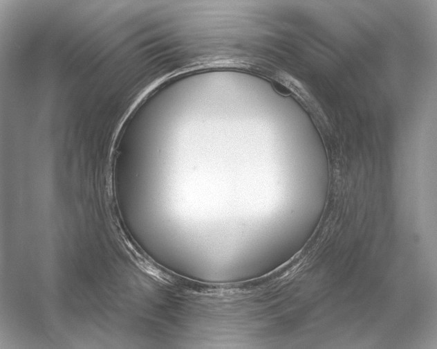 X0000052961236200508050940