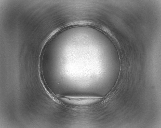 X0000052961237200508050940