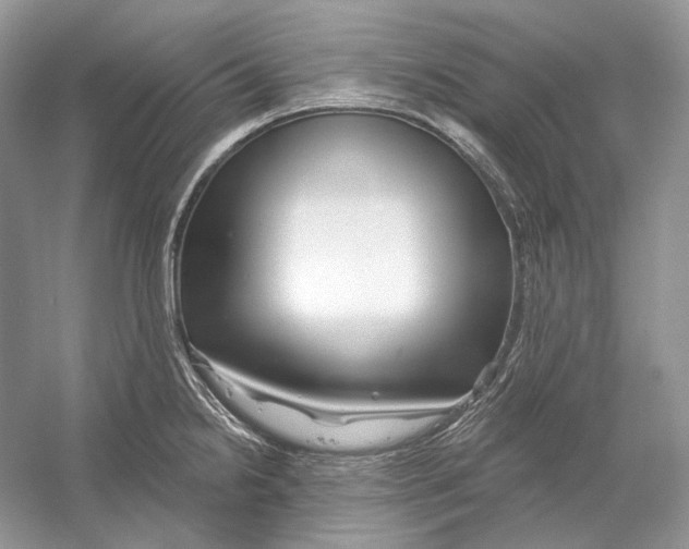 X0000052961238200508050940