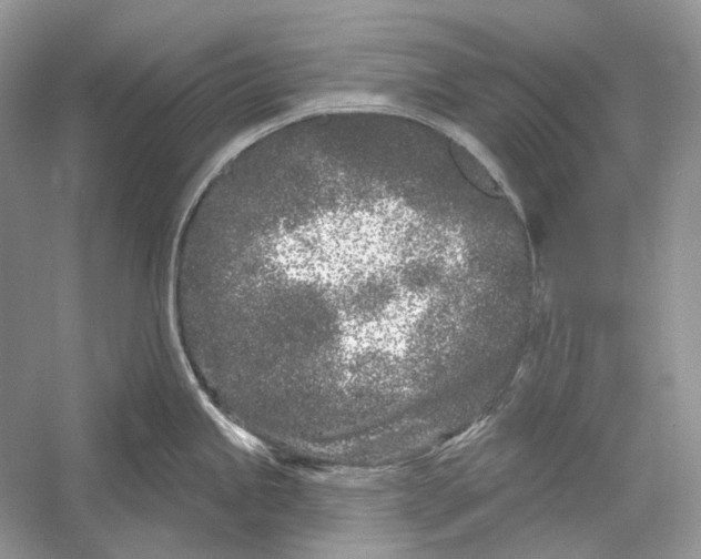 X0000052961245200508050940