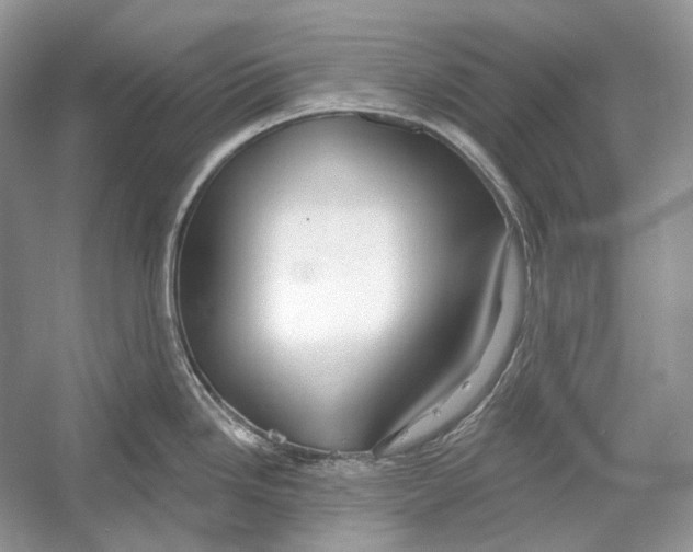 X0000052961246200508050940