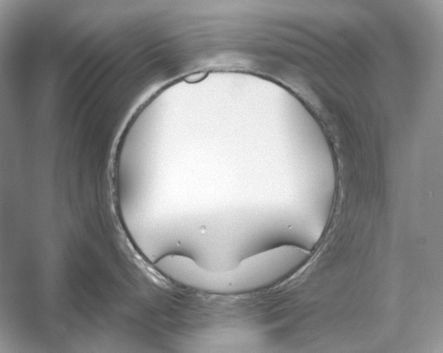 X0000052961248200508050940