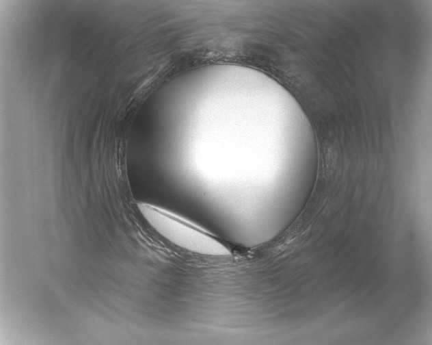 X0000052961250200508050939