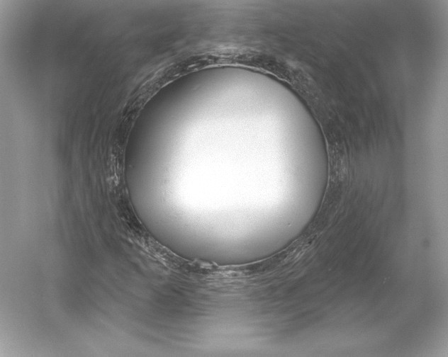 X0000052961253200508050939