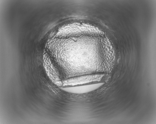 X0000052961255200508050939