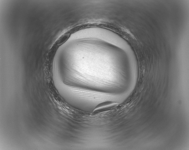 X0000052961256200508050939