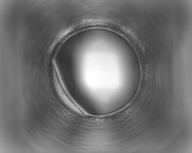 X0000052961261200508050939