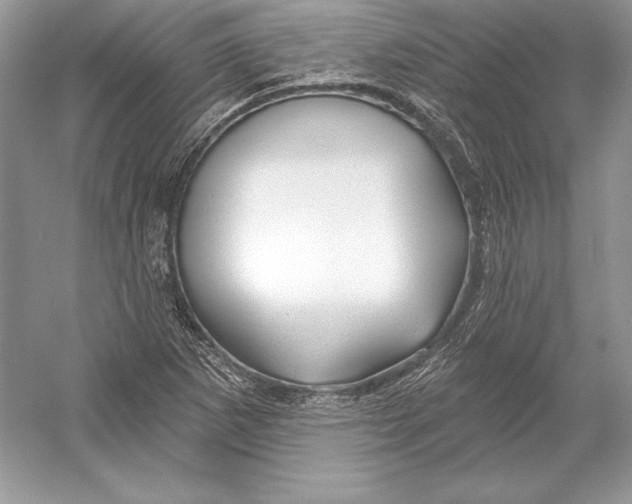 X0000052961265200508050939