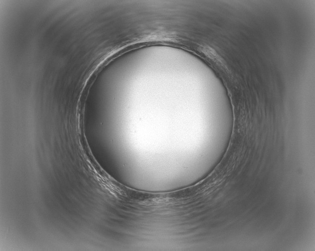 X0000052961268200508050939