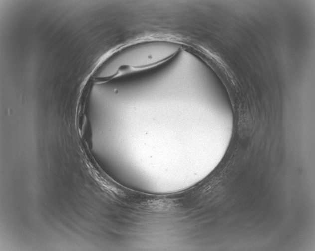 X0000052961272200508050939
