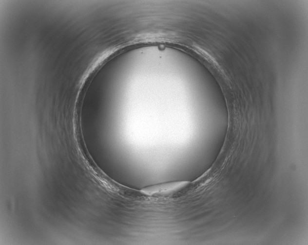 X0000052961277200508050939