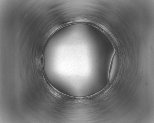 X0000052961281200508050939