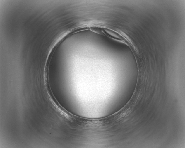 X0000052961285200508050938