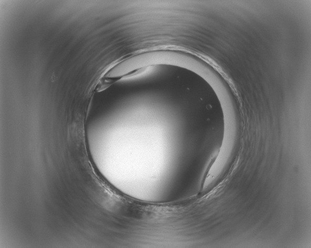X0000052961289200508050938