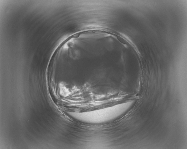 X0000052961291200508050938