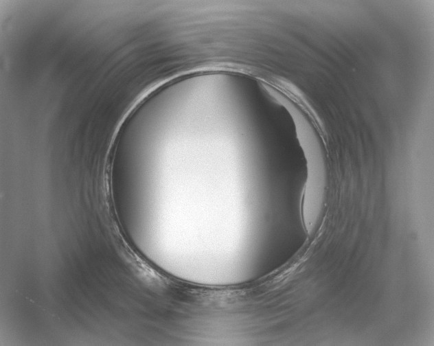X0000052961292200508050938