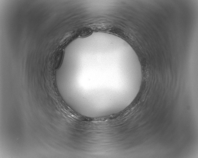 X0000052961297200508050937