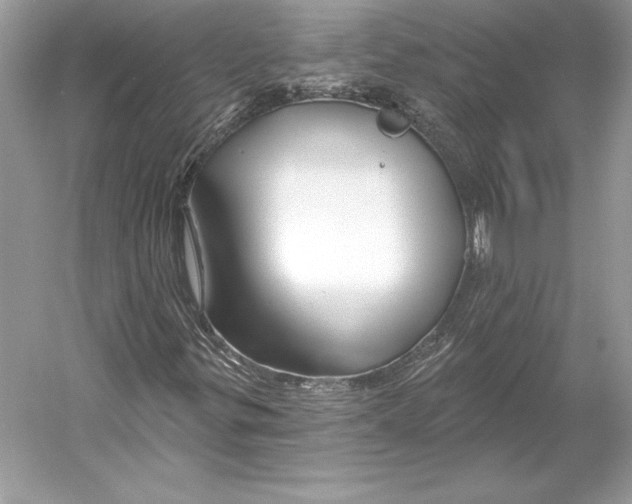 X0000052961299200508050938