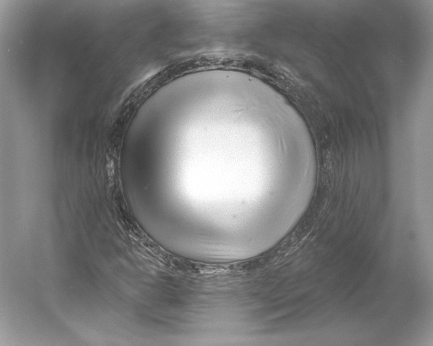 X0000052961302200508050938