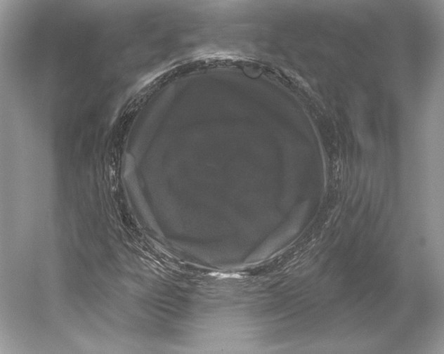 X0000052961303200508050938