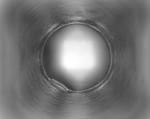 X0000052961305200508050938